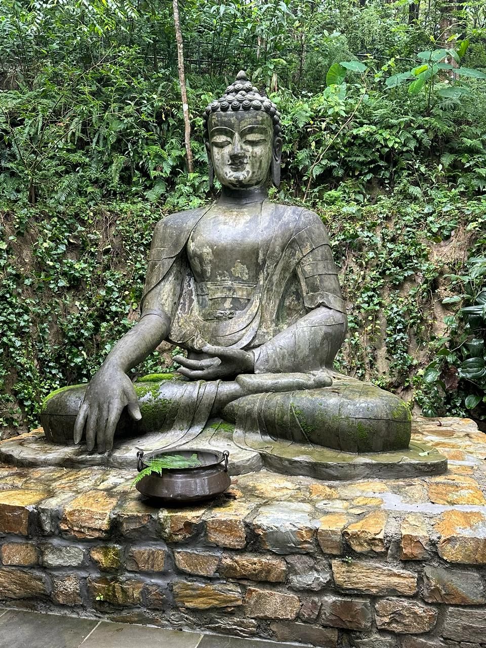 gautam-budhha