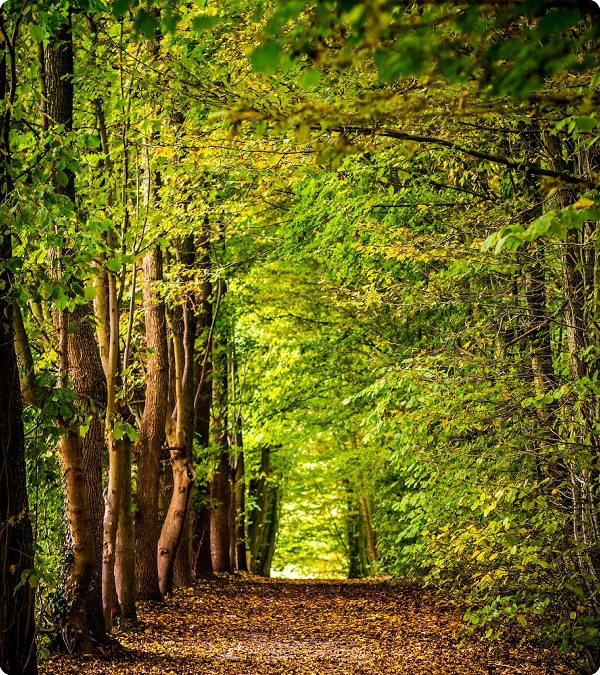 Going Green initiatives