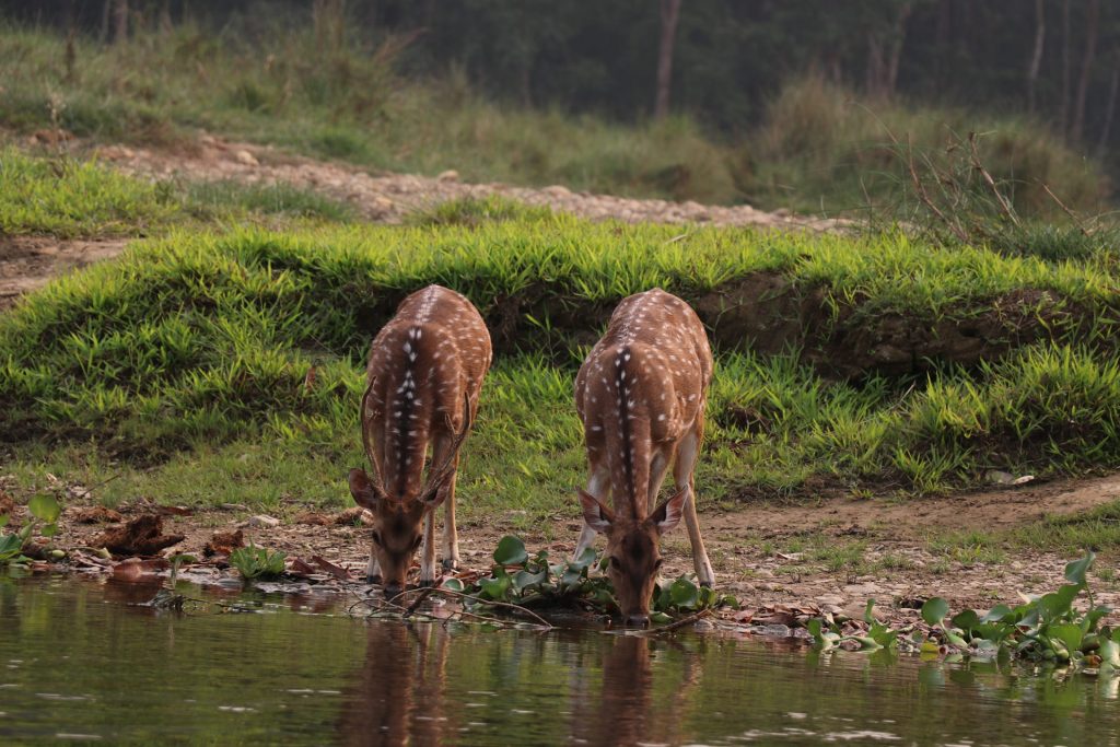 Signature Collection Tour – Nepal