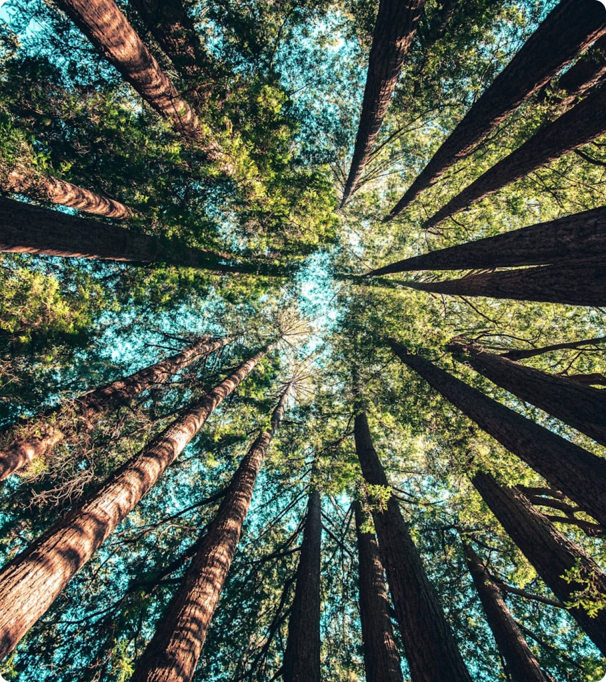 sustainability